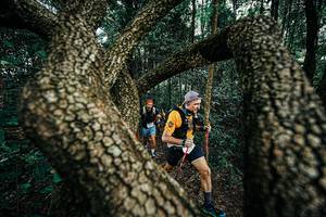 BIB: 
                            <button type="button" onclick="openModal(25394148)" class="btn btn-primary btn-sm float-right btn-popup" data-toggle="modal" data-target=".modal-high-quality">
                        <i class="fas fa-shopping-cart"></i> Add to Cart
                    </button>
                                            <button type="button" onclick="isThisMe(25394148, true)" class="btn btn-success btn-sm float-right btn-popup btn-isme hidden" data-toggle="tooltip" data-placement="bottom" title="นี่คือรูปของคุณใช่ไหม คลิกที่นี่เพื่อเอาเข้าอัลบั้ม">
                        <i class="fas fa-plus"></i> Add to album
                    </button>
                    <button type="button" onclick="isThisMe(25394148, false)" class="btn btn-warning btn-sm float-right btn-popup btn-isnotme hidden">
                        <i class="fas fa-ban"></i> Remove from album
                    </button>